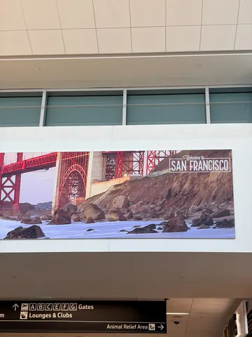 YYZ → SFO · Jun 1, 2026 photo 1